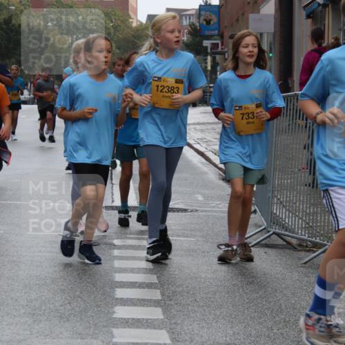 13.09.2026 - Kiel Lauf Markus Tischler http://msf.ph/oto/10449379 13.09.2026 08:58:26 Fleethörn 3865, 38, 12383, 38, 733, 4, 38, 282, 12 meine-sportfotos.de