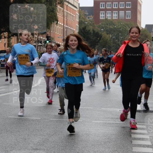 13.09.2026 - Kiel Lauf Markus Tischler http://msf.ph/oto/10449443 13.09.2026 08:58:50 Fleethörn 1, 39, 10723, 6606, 1266, 3611 meine-sportfotos.de