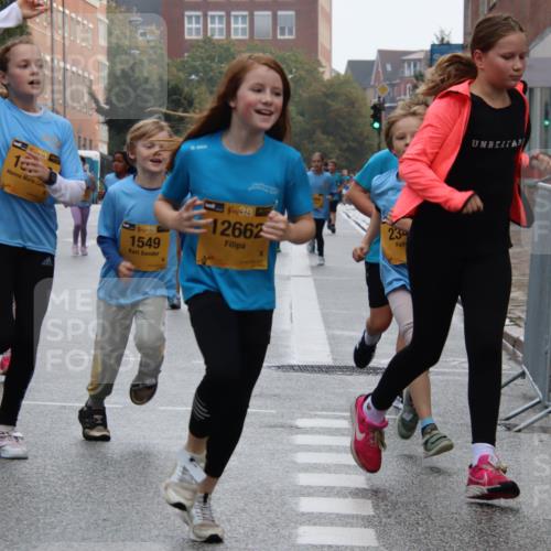 13.09.2026 - Kiel Lauf Markus Tischler http://msf.ph/oto/10449451 13.09.2026 08:58:51 Fleethörn 1, 38, 1, 38, 1549, 4, 38, 12662, 23 meine-sportfotos.de