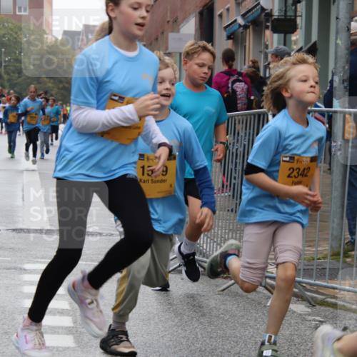 13.09.2026 - Kiel Lauf Markus Tischler http://msf.ph/oto/10449455 13.09.2026 08:58:52 Fleethörn 487, 4, 38, 15, 9, 2342 meine-sportfotos.de