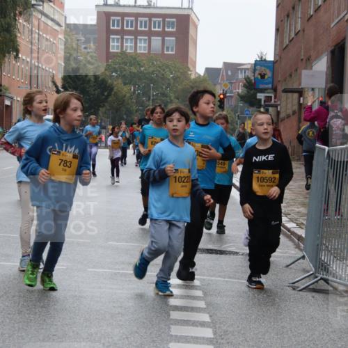 13.09.2026 - Kiel Lauf Markus Tischler http://msf.ph/oto/10449469 13.09.2026 08:59:06 Fleethörn 13, 897, 39, 783, 62, 38, 38, 10223, 549, 10592 meine-sportfotos.de