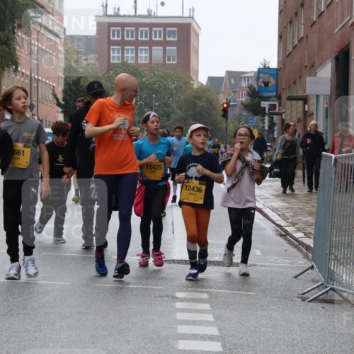 13.09.2026 - Kiel Lauf Markus Tischler http://msf.ph/oto/10449508 13.09.2026 08:59:29 Fleethörn 39, 661, 11425, 12436 meine-sportfotos.de