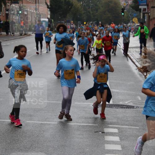 13.09.2026 - Kiel Lauf Markus Tischler http://msf.ph/oto/10449547 13.09.2026 08:59:52 Fleethörn 611, 1438, 7982, 11901, 39, 7613, 03 meine-sportfotos.de