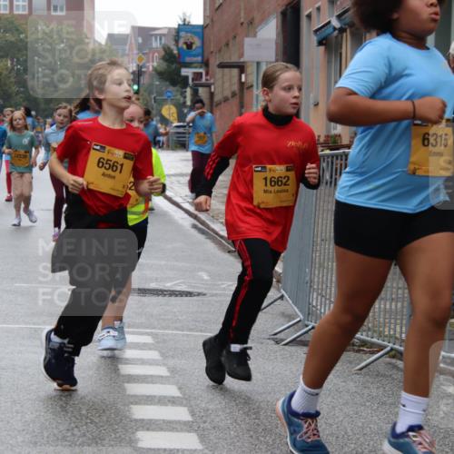 13.09.2026 - Kiel Lauf Markus Tischler http://msf.ph/oto/10449555 13.09.2026 09:00:01 Fleethörn 3592, 2916, 12539, 38, 6561, 6315, 38, 1662 meine-sportfotos.de