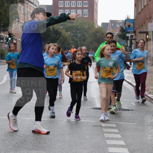 13.09.2026 - Kiel Lauf Markus Tischler http://msf.ph/oto/10449573 13.09.2026 09:00:07 Fleethörn 14, 12211, 39, 3592, 38, 2916, 38, 12539, 2321 meine-sportfotos.de