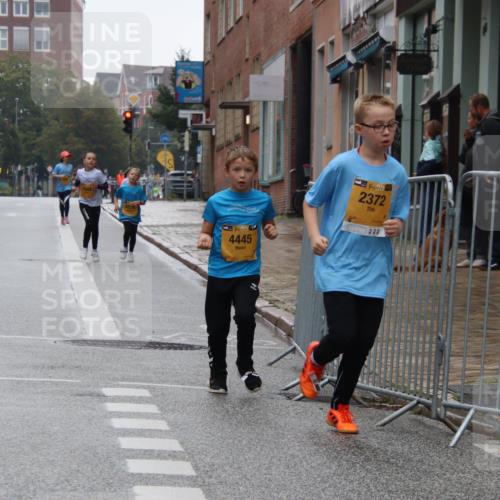 13.09.2026 - Kiel Lauf Markus Tischler http://msf.ph/oto/10449684 13.09.2026 09:01:49 Fleethörn 2372, 4445, 999 meine-sportfotos.de