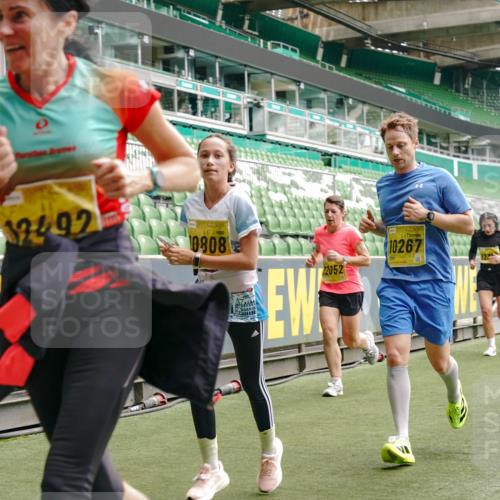 13.09.2026 - 21. swb-Marathon Bremen Michael Burmester http://msf.ph/oto/10450190 13.09.2026 10:30:57 Laufen im Stadion 10141, 10146, 10162, 10174, 10193, 10218, 10222, 10227, 10233, 10253, 10281, 10284, 10304, 10339, 10359, 10392, 10448, 10452, 10467, 10471, 10478, 10479, 10515, 10529, 10555, 10577, 10579, 10585, 10588, 10589, 10610, 10626, 10631, 10641, 10652, 10684, 10685, 10704, 10708, 10714, 10734, 10757, 10761, 10764, 10765, 10780, 10808, 10821, 10822, 10825, 10827, 10837, 10838, 10862, 10863, 10884, 10886, 10887, 10906, 10984, 11002, 11038, 11350, 11379 meine-sportfotos.de