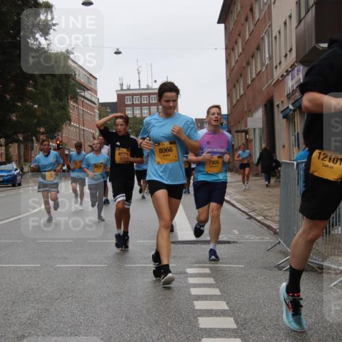 13.09.2026 - Kiel Lauf Markus Tischler http://msf.ph/oto/10451101 13.09.2026 09:43:15 Fleethörn 4922, 1, 39, 8066, 7905, 12101 meine-sportfotos.de