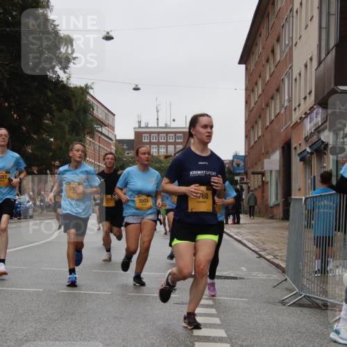 13.09.2026 - Kiel Lauf Markus Tischler http://msf.ph/oto/10451388 13.09.2026 09:44:44 Fleethörn 350, 760, 939, 1224, 3503 meine-sportfotos.de