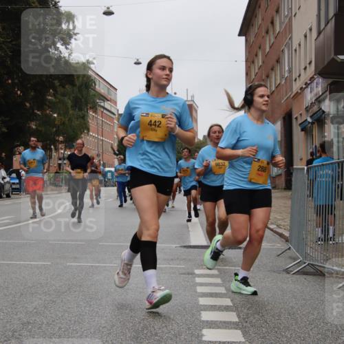 13.09.2026 - Kiel Lauf Markus Tischler http://msf.ph/oto/10451682 13.09.2026 09:45:58 Fleethörn 38, 442, 9832, 288 meine-sportfotos.de