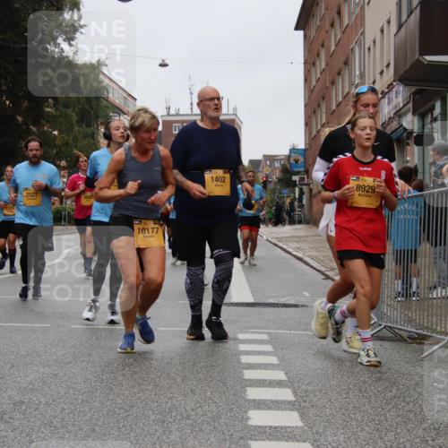 13.09.2026 - Kiel Lauf Markus Tischler http://msf.ph/oto/10451710 13.09.2026 09:46:07 Fleethörn 2527, 39, 10177, 1402, 1, 39, 8929 meine-sportfotos.de