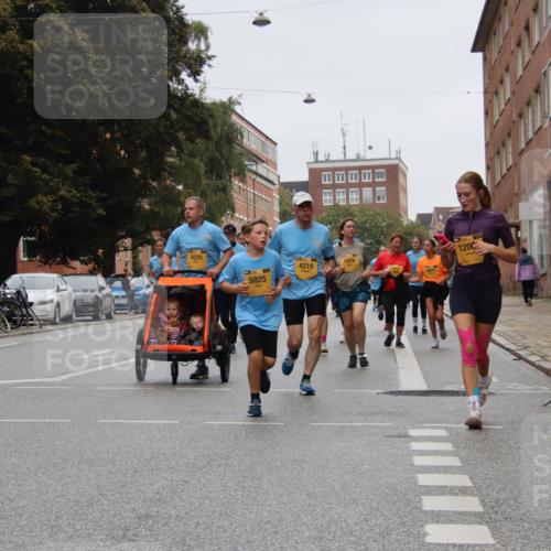 13.09.2026 - Kiel Lauf Markus Tischler http://msf.ph/oto/10452010 13.09.2026 09:47:35 Fleethörn 4225, 5825, 4219, 1976, 1200, 1047 meine-sportfotos.de