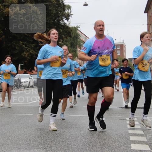 13.09.2026 - Kiel Lauf Markus Tischler http://msf.ph/oto/10452097 13.09.2026 09:48:11 Fleethörn 12614, 59, 362, 39, 1561, 39, 5185 meine-sportfotos.de