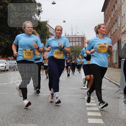 13.09.2026 - Kiel Lauf Markus Tischler http://msf.ph/oto/10452270 13.09.2026 09:49:06 Fleethörn 2731, 139, 12632, 39, 10565, 38 meine-sportfotos.de