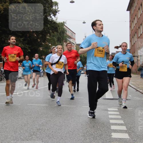 13.09.2026 - Kiel Lauf Markus Tischler http://msf.ph/oto/10452448 13.09.2026 09:49:55 Fleethörn 7585, 6592, 38, 7864, 371 meine-sportfotos.de