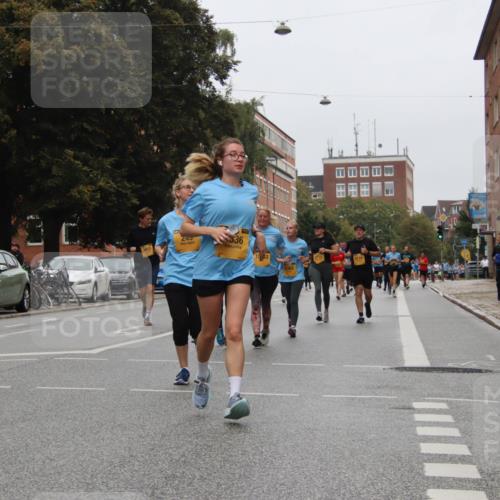 13.09.2026 - Kiel Lauf Markus Tischler http://msf.ph/oto/10452529 13.09.2026 09:50:15 Fleethörn 336, 38, 1283 meine-sportfotos.de
