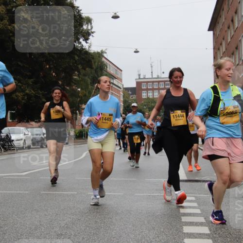 13.09.2026 - Kiel Lauf Markus Tischler http://msf.ph/oto/10452675 13.09.2026 09:51:04 Fleethörn 11494, 1309, 39, 1445, 11444, 1832, 2068 meine-sportfotos.de