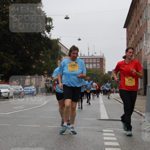 13.09.2026 - Kiel Lauf Markus Tischler http://msf.ph/oto/10452826 13.09.2026 09:51:56 Fleethörn 12493, 175 meine-sportfotos.de
