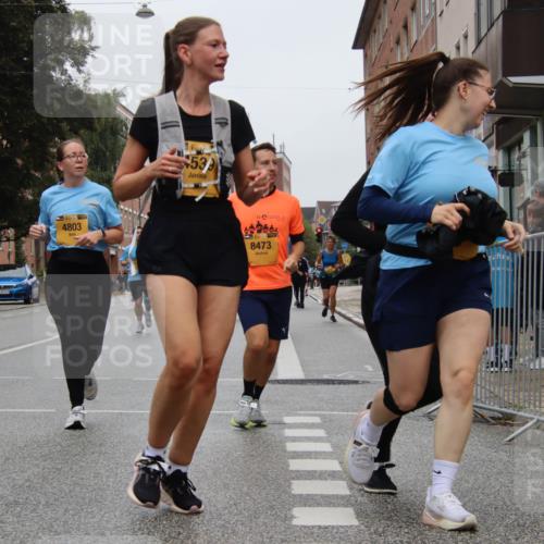 13.09.2026 - Kiel Lauf Markus Tischler http://msf.ph/oto/10452991 13.09.2026 09:52:48 Fleethörn 4803, 539, 12, 8473 meine-sportfotos.de