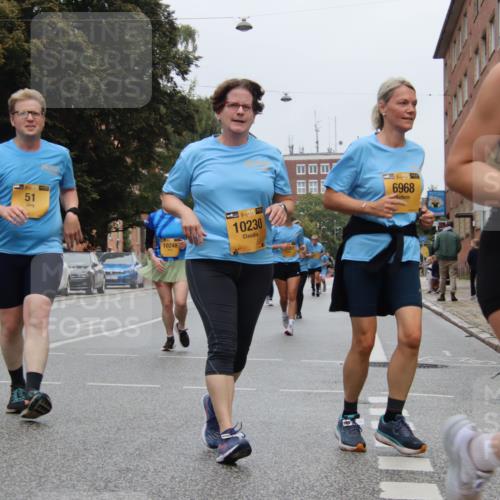 13.09.2026 - Kiel Lauf Markus Tischler http://msf.ph/oto/10453323 13.09.2026 09:54:56 Fleethörn 51, 10248, 38, 10230, 38, 6968 meine-sportfotos.de