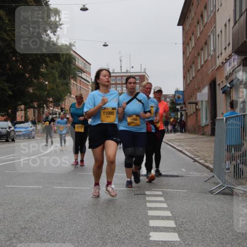 13.09.2026 - Kiel Lauf Markus Tischler http://msf.ph/oto/10453444 13.09.2026 09:55:52 Fleethörn 12507, 39, 11095, 2486 meine-sportfotos.de