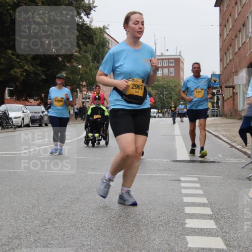 13.09.2026 - Kiel Lauf Markus Tischler http://msf.ph/oto/10453626 13.09.2026 09:57:56 Fleethörn 11456, 38, 2967, 9332, 75 meine-sportfotos.de