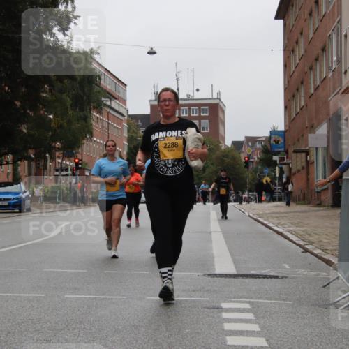 13.09.2026 - Kiel Lauf Markus Tischler http://msf.ph/oto/10453766 13.09.2026 10:00:38 Fleethörn 2288 meine-sportfotos.de