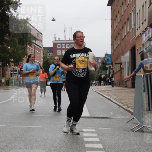 13.09.2026 - Kiel Lauf Markus Tischler http://msf.ph/oto/10453772 13.09.2026 10:00:38 Fleethörn 611, 38, 2288, 8297, 4673 meine-sportfotos.de