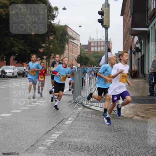 13.09.2026 - Kiel Lauf Markus Tischler http://msf.ph/oto/10453908 13.09.2026 08:51:18 Fleethörn 5211, 10, 8657, 937, 8823 meine-sportfotos.de