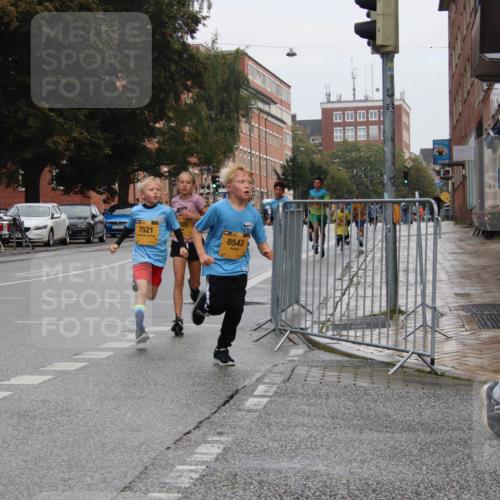 13.09.2026 - Kiel Lauf Markus Tischler http://msf.ph/oto/10453967 13.09.2026 08:51:35 Fleethörn 1702, 7521, 205, 8543, 144 meine-sportfotos.de
