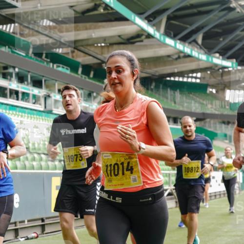 13.09.2026 - 21. swb-Marathon Bremen Michael Burmester http://msf.ph/oto/10453975 13.09.2026 10:32:12 Laufen im Stadion 10067, 10141, 10146, 10203, 10222, 10226, 10227, 10243, 10246, 10249, 10255, 10256, 10284, 10300, 10322, 10365, 10372, 10379, 10410, 10443, 10448, 10471, 10478, 10479, 10486, 10503, 10517, 10518, 10529, 10540, 10543, 10550, 10555, 10565, 10577, 10579, 10589, 10608, 10610, 10626, 10631, 10646, 10670, 10675, 10684, 10685, 10690, 10703, 10704, 10707, 10708, 10721, 10725, 10757, 10771, 10821, 10822, 10838, 11350, 11379 meine-sportfotos.de