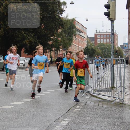 13.09.2026 - Kiel Lauf Markus Tischler http://msf.ph/oto/10453991 13.09.2026 08:51:43 Fleethörn 1702, 3901, 3557, 2015 meine-sportfotos.de