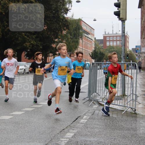 13.09.2026 - Kiel Lauf Markus Tischler http://msf.ph/oto/10453997 13.09.2026 08:51:44 Fleethörn 1702, 7171, 703, 1139, 3901, 31, 3557, 201 meine-sportfotos.de