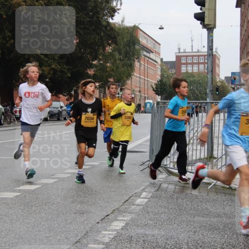 13.09.2026 - Kiel Lauf Markus Tischler http://msf.ph/oto/10454002 13.09.2026 08:51:44 Fleethörn 1702, 7171, 7034, 3392, 355, 390, 20 meine-sportfotos.de