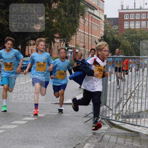 13.09.2026 - Kiel Lauf Markus Tischler http://msf.ph/oto/10454052 13.09.2026 08:52:05 Fleethörn 10826, 11, 39, 6372, 3782, 7894 meine-sportfotos.de