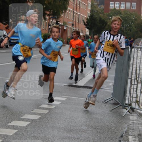 13.09.2026 - Kiel Lauf Markus Tischler http://msf.ph/oto/10454074 13.09.2026 08:52:16 Fleethörn 6937, 50, 12460, 7009, 179, 1809 meine-sportfotos.de