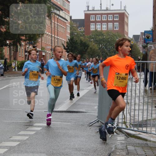13.09.2026 - Kiel Lauf Markus Tischler http://msf.ph/oto/10454082 13.09.2026 08:52:18 Fleethörn 611, 7881, 1, 39, 1799, 7611, 12460 meine-sportfotos.de