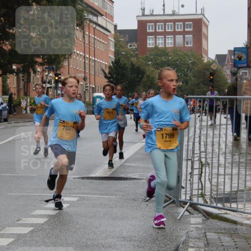 13.09.2026 - Kiel Lauf Markus Tischler http://msf.ph/oto/10454087 13.09.2026 08:52:19 Fleethörn 611, 10779, 138, 7881, 7611, 11, 39, 1799 meine-sportfotos.de