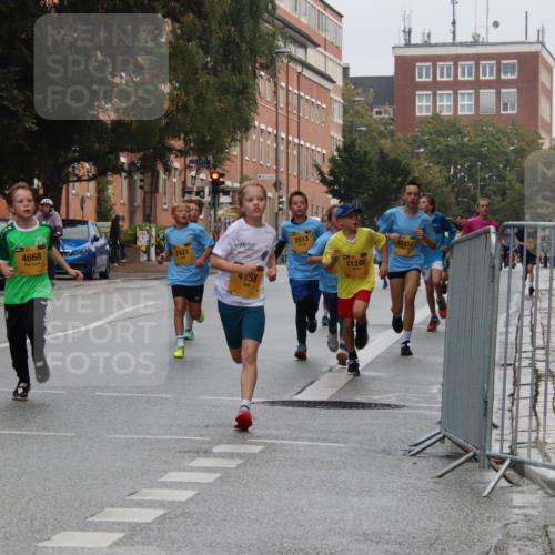 13.09.2026 - Kiel Lauf Markus Tischler http://msf.ph/oto/10454115 13.09.2026 08:52:26 Fleethörn 2613, 4668, 7423, 4, 1, 4158, 11248, 12454 meine-sportfotos.de
