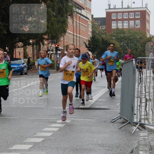 13.09.2026 - Kiel Lauf Markus Tischler http://msf.ph/oto/10454120 13.09.2026 08:52:26 Fleethörn 4668, 38, 4158, 11248, 12454 meine-sportfotos.de