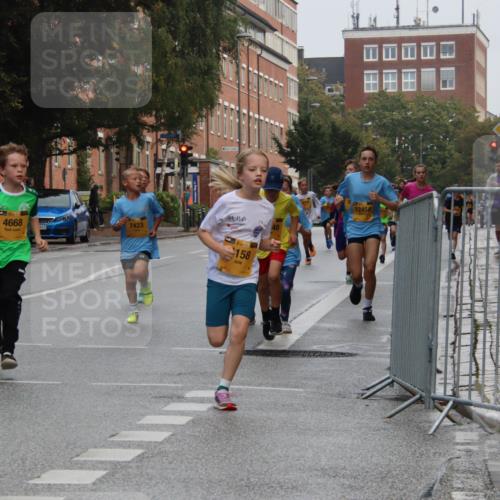 13.09.2026 - Kiel Lauf Markus Tischler http://msf.ph/oto/10454122 13.09.2026 08:52:26 Fleethörn 4668, 611, 7423, 48, 1, 39, 158, 12, 12454 meine-sportfotos.de