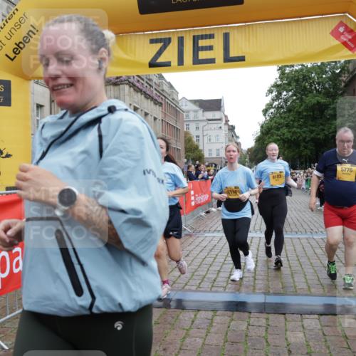 13.09.2026 - Kiel Lauf Yannick Fuchs http://msf.ph/oto/10464791 13.09.2026 09:57:25 Ziel 1122, 2486, 3114, 4097, 5776, 6173, 6243, 6932, 7786, 8103, 8113, 11014, 11095, 11245, 12507, 130, 2486, 3684, 4097, 4568, 4631, 5468, 8599, 8824, 9692, 11042, 12580, 818, 1296, 3317, 3427, 4567, 4808, 6735, 7358, 7359, 8853, 9998, 10943, 4641, 4643, 5938, 7509, 7548 meine-sportfotos.de