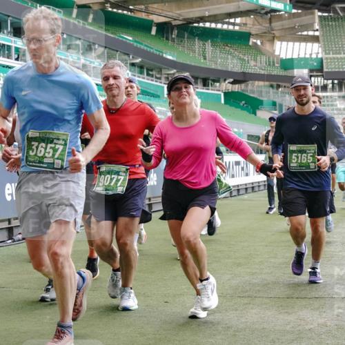 13.09.2026 - 21. swb-Marathon Bremen Michael Burmester http://msf.ph/oto/10464957 13.09.2026 13:13:06 Laufen im Stadion 118, 183, 270, 278, 349, 514, 576, 600, 631, 695, 702, 843, 933, 950, 1005, 1113, 1143, 1226, 1286, 1334, 1426, 1435, 1596, 1641, 1849, 1851, 1991, 2005, 2035, 2079, 2248, 2264, 2336, 2375, 2377, 2387, 2398, 2426, 2439, 2457, 2461, 2478, 2505, 2540, 2612, 2659, 2665, 2673, 2684, 2693, 2765, 2773, 2792, 2815, 2816, 2822, 2850, 2860, 2884, 2895, 2921, 2963, 2966, 2972, 2975, 3016, 3027, 3079, 3111, 3143, 3155, 3209, 3253, 3277, 3293, 3304, 3308, 3313, 3328, 3349, 3434 meine-sportfotos.de