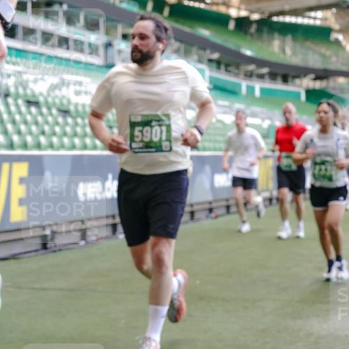 13.09.2026 - 21. swb-Marathon Bremen Michael Burmester http://msf.ph/oto/10466633 13.09.2026 13:13:29 Laufen im Stadion 118, 183, 270, 278, 349, 460, 514, 576, 600, 631, 695, 702, 933, 950, 1005, 1143, 1286, 1334, 1392, 1408, 1426, 1573, 1596, 1641, 1991, 2005, 2024, 2035, 2079, 2233, 2264, 2336, 2377, 2387, 2398, 2412, 2439, 2457, 2461, 2478, 2505, 2521, 2540, 2564, 2612, 2665, 2684, 2693, 2765, 2773, 2792, 2815, 2816, 2860, 2884, 2887, 2895, 2921, 2963, 2966, 2972, 2975, 3016, 3111, 3143, 3155, 3209, 3253, 3277, 3293, 3304, 3308, 3313, 3378, 3405, 3428, 3434, 3653, 3661 meine-sportfotos.de