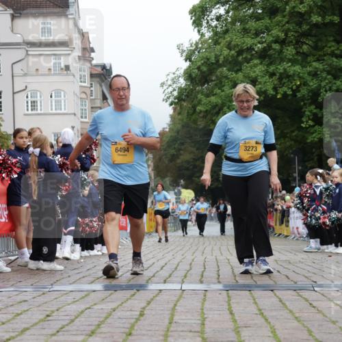 13.09.2026 - Kiel Lauf Yannick Fuchs http://msf.ph/oto/10467087 13.09.2026 10:02:52 Ziel 3273, 6494, 129, 565, 2288, 3131, 3917, 4673, 8297, 317, 8249, 11629, 3917, 4135 meine-sportfotos.de