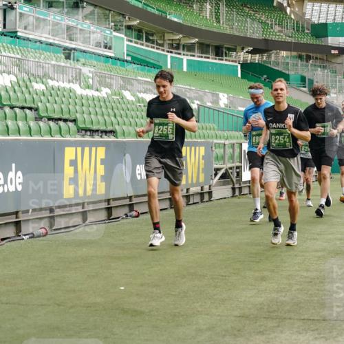 13.09.2026 - 21. swb-Marathon Bremen Michael Burmester http://msf.ph/oto/10467387 13.09.2026 12:57:14 Laufen im Stadion 307, 334, 411, 431, 465, 769, 776, 857, 876, 909, 926, 948, 1010, 1130, 1191, 1199, 1254, 1535, 1601, 1750, 1752, 1809, 1881, 1900, 1972, 2001, 2040, 2046, 2051, 2075, 2122, 2260, 2324, 2371, 2397, 2402, 2423, 2473, 2493, 2535, 2634, 2640, 2671, 2761, 2812, 2903, 2904, 2948, 3051, 3078, 3119, 3138, 3182, 3202, 3290, 3319, 3348, 3411, 3450, 3458, 3508, 3514, 3634, 3685, 3690, 3695, 3760, 3813, 3866, 3939, 4101, 4135, 4171, 4316, 4319, 4455, 4479 meine-sportfotos.de