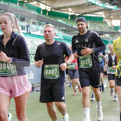13.09.2026 - 21. swb-Marathon Bremen Michael Burmester http://msf.ph/oto/10468122 13.09.2026 13:13:44 Laufen im Stadion 118, 183, 270, 278, 349, 460, 514, 576, 600, 631, 695, 702, 768, 933, 950, 956, 1005, 1143, 1286, 1334, 1392, 1408, 1426, 1573, 1596, 1641, 1818, 1819, 1991, 2005, 2024, 2035, 2079, 2233, 2264, 2314, 2387, 2412, 2439, 2457, 2461, 2478, 2505, 2521, 2540, 2564, 2612, 2665, 2684, 2693, 2765, 2773, 2792, 2815, 2816, 2829, 2860, 2884, 2887, 2895, 2921, 2963, 2966, 2972, 2975, 3016, 3111, 3155, 3209, 3253, 3277, 3293, 3304, 3313, 3378, 3405, 3428, 3434, 3653, 3661 meine-sportfotos.de
