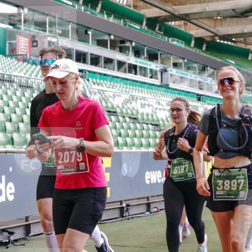 13.09.2026 - 21. swb-Marathon Bremen Michael Burmester http://msf.ph/oto/10470368 13.09.2026 13:14:17 Laufen im Stadion 183, 270, 278, 300, 349, 414, 460, 576, 600, 631, 695, 702, 768, 933, 950, 956, 1005, 1008, 1047, 1143, 1392, 1408, 1426, 1573, 1596, 1641, 1818, 1819, 1991, 2024, 2035, 2079, 2233, 2314, 2387, 2412, 2439, 2457, 2461, 2494, 2521, 2540, 2564, 2612, 2665, 2690, 2691, 2693, 2737, 2773, 2792, 2816, 2829, 2838, 2861, 2865, 2884, 2887, 2921, 2972, 2978, 3016, 3111, 3209, 3253, 3277, 3293, 3304, 3313, 3355, 3378, 3405, 3428, 3653, 3661, 3680, 4034, 4080, 4306, 703 meine-sportfotos.de