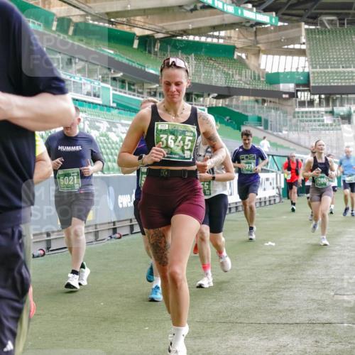 13.09.2026 - 21. swb-Marathon Bremen Michael Burmester http://msf.ph/oto/10474787 13.09.2026 13:16:09 Laufen im Stadion 134, 143, 153, 231, 263, 266, 267, 271, 300, 414, 598, 612, 653, 990, 1047, 1185, 1312, 1465, 1539, 1825, 1874, 1987, 2013, 2218, 2235, 2259, 2351, 2359, 2363, 2381, 2385, 2386, 2466, 2468, 2484, 2494, 2562, 2579, 2664, 2667, 2678, 2690, 2691, 2698, 2737, 2760, 2778, 2783, 2797, 2799, 2821, 2846, 2859, 2861, 2865, 2874, 2958, 2974, 2996, 3001, 3075, 3133, 3157, 3165, 3185, 3213, 3237, 3265, 3331, 3355, 3366, 3382, 3387, 3486, 3501, 3512, 3670, 3680, 3829, 4034, 4306, 703 meine-sportfotos.de