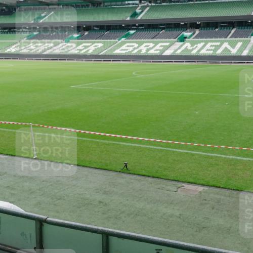 13.09.2026 - 21. swb-Marathon Bremen Michael Burmester http://msf.ph/oto/10488197 13.09.2026 10:05:44 Laufen im Stadion  meine-sportfotos.de